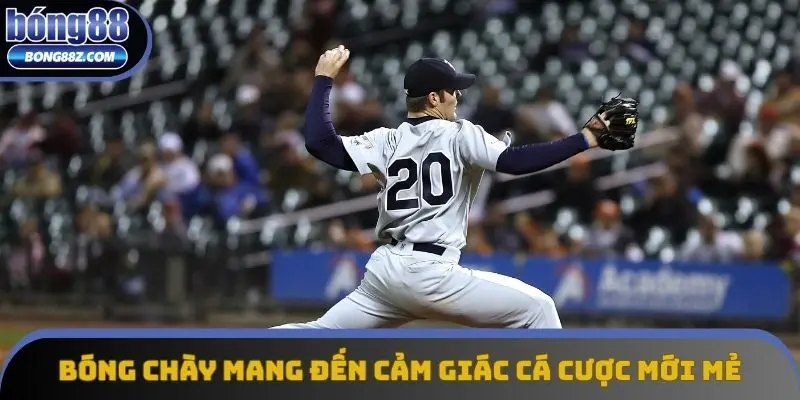 Bóng chày mang đến cảm giác cá cược mới mẻ