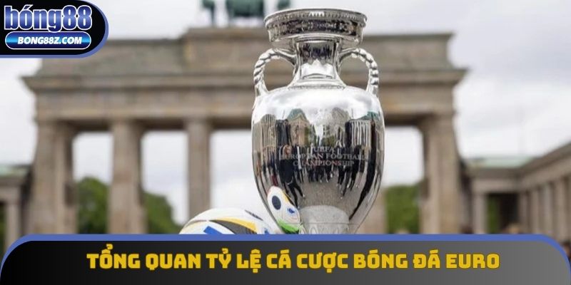 Tổng quan tỷ lệ cá cược bóng đá euro Tổng quan tỷ lệ cá cược bóng đá euro